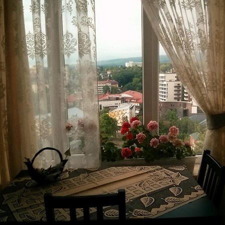 Sunny Apartment In The City Center Truskavets Buitenkant foto